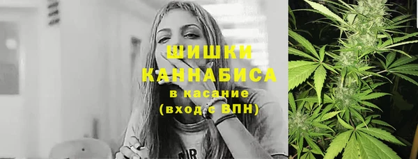 каннабис Новозыбков