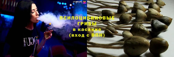 спайс Алексин