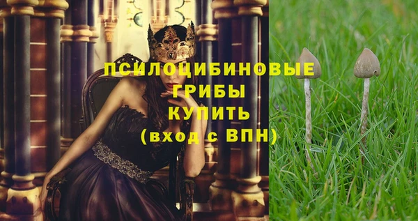 спайс Алексин