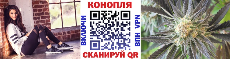 Каннабис White Widow Новая Ладога